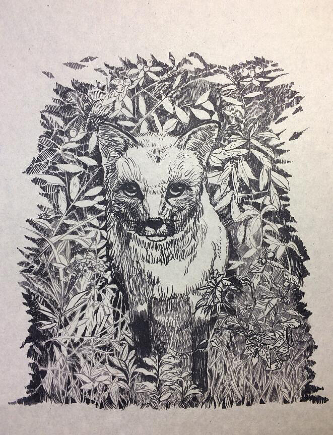 手绘插画 狐狸（图ZNzYxMTk3NDA=） - 创作习作 - 站酷设计师MaxiWoo原创素材 - 站酷ZCOOL