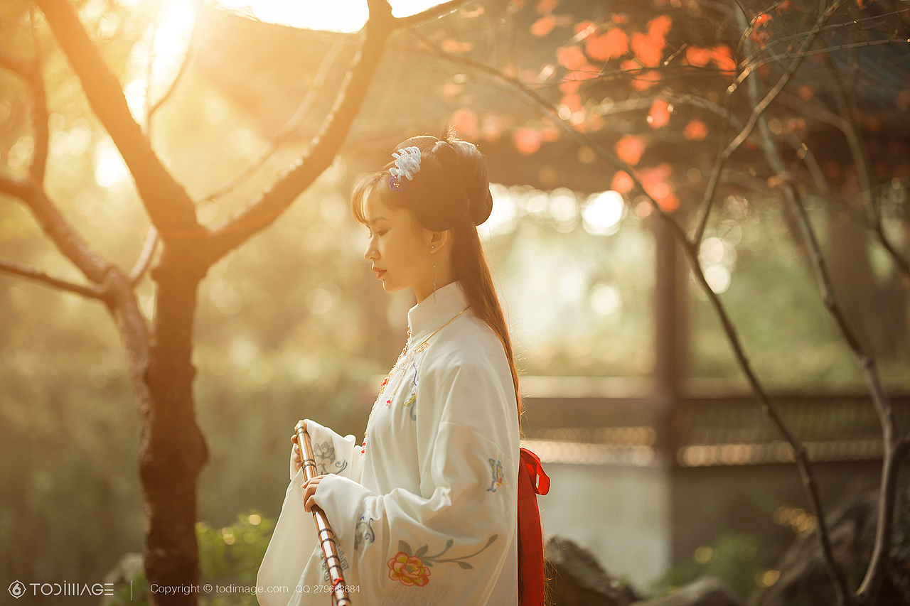 古风人像《阅秋图》