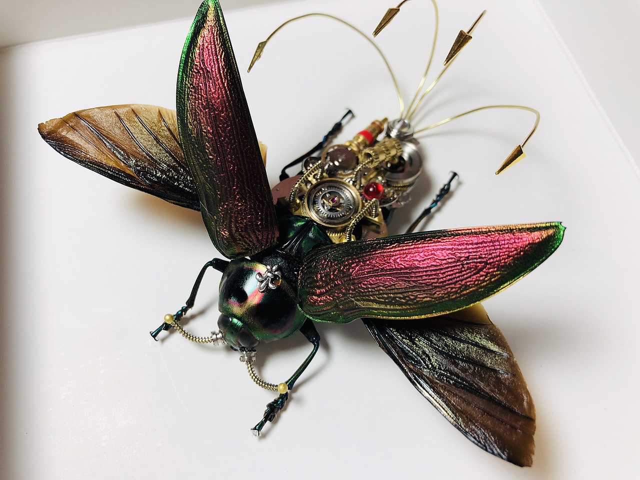 不顾正业第二弹