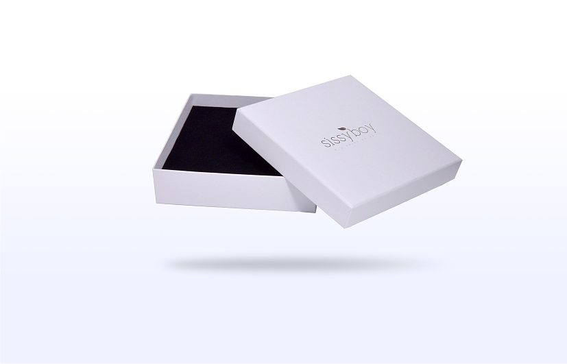 2016年sissyboy品牌vi