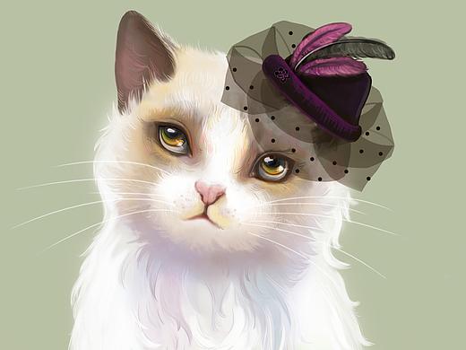 骄傲的猫