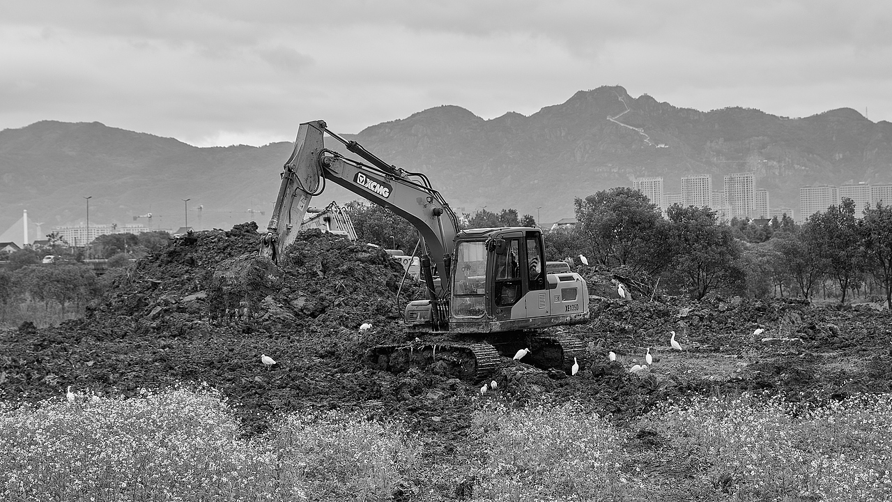 共存（图ZMjc4Mjg1MjQ4） - 人文/纪实摄影 - 站酷设计师不吃紫菜原创素材 - 站酷ZCOOL