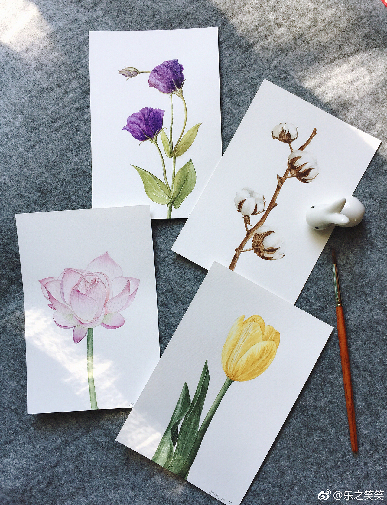 一些植物明信片