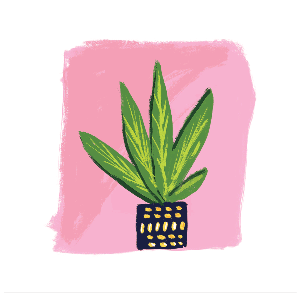 Ertha CBD草药浸剂给茶带来全新的含义