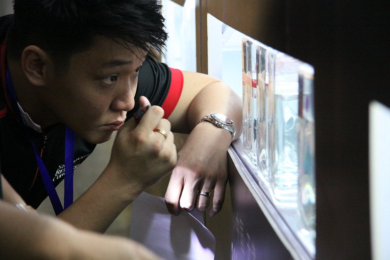 裁判观察比赛一