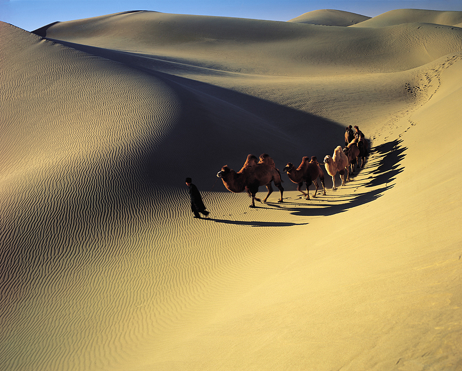 与众不同的新疆
