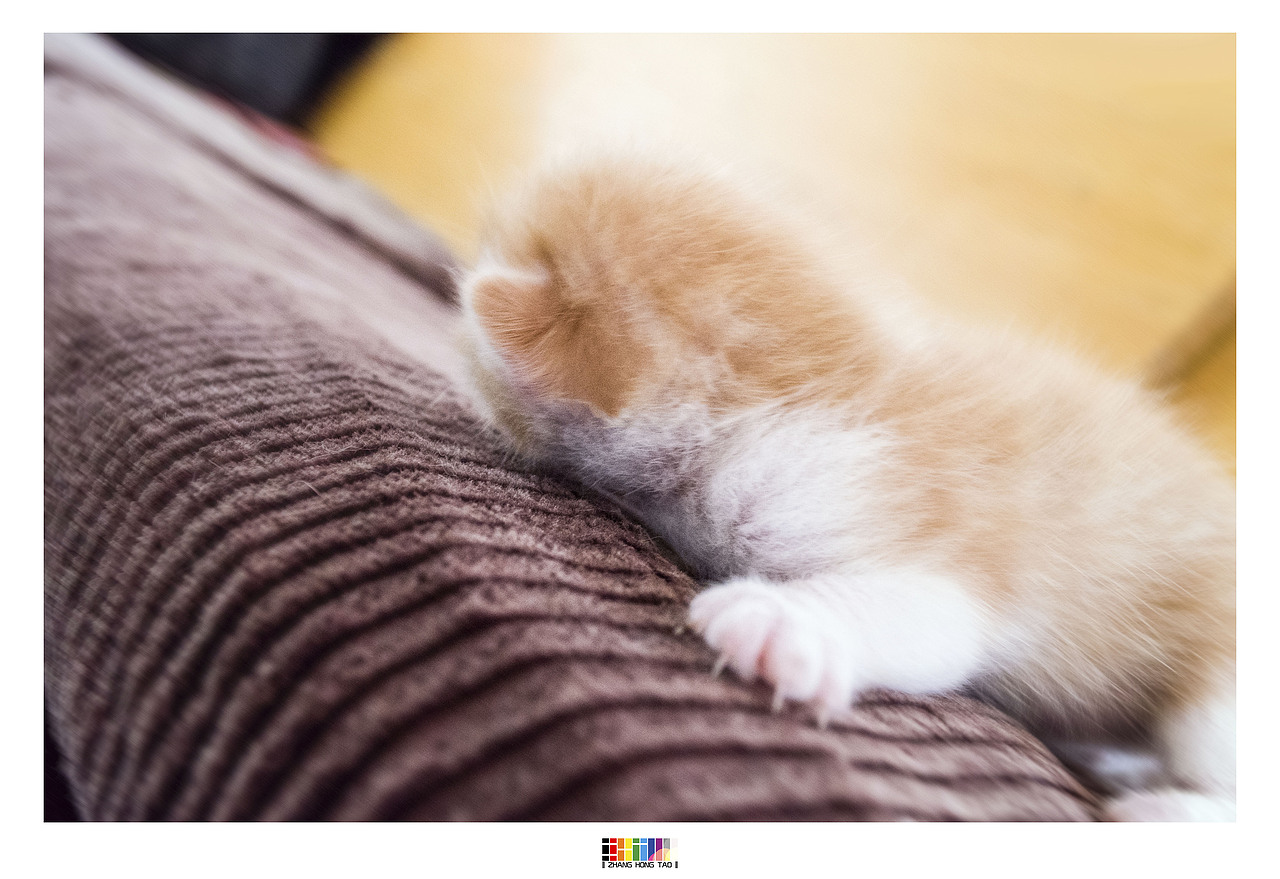 老家—江西万载县