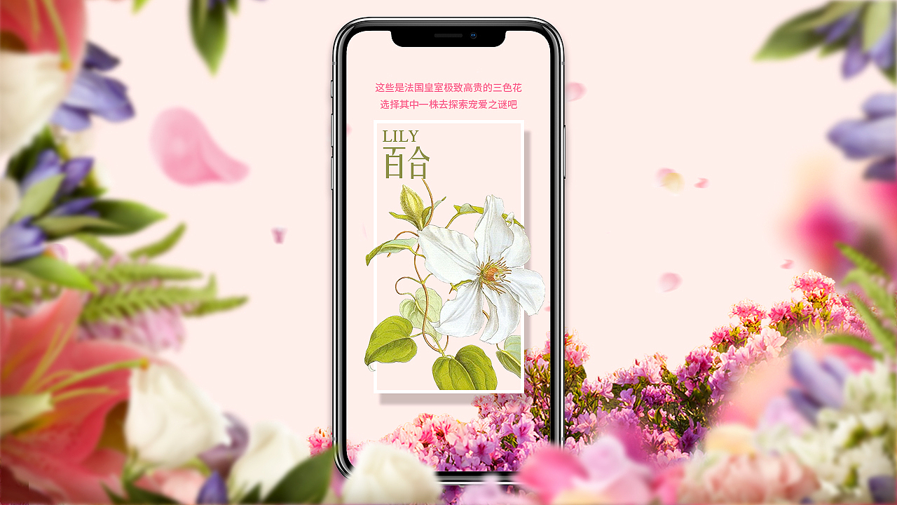 Ellebebe嗳乐蓓贝花卉系列上色H5（图ZMTk5MjQ2NjM2） - 移动端网页 - 站酷设计师丁满渣人原创素材 - 站酷ZCOOL