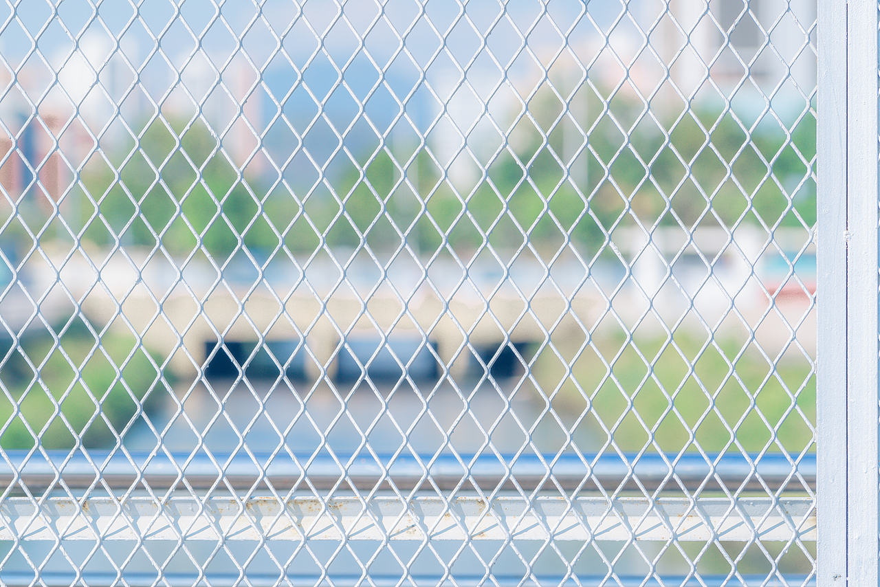 深圳西湾红树林公园 2021/05/16