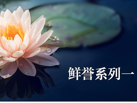鲜誉荷蟹包装设计（个人主页-ZMjQ3NzkyNjQ=） - 品牌 - 站酷设计师赵翊峰原创素材 - 站酷ZCOOL