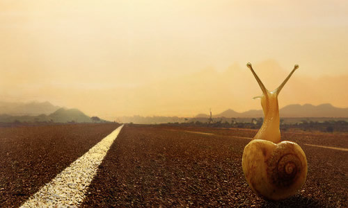 铅笔chen的个人主页（封面预览） - 主页封面设置 - 站酷设计师铅笔chen原创素材 - 站酷ZCOOL