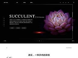 网页设计