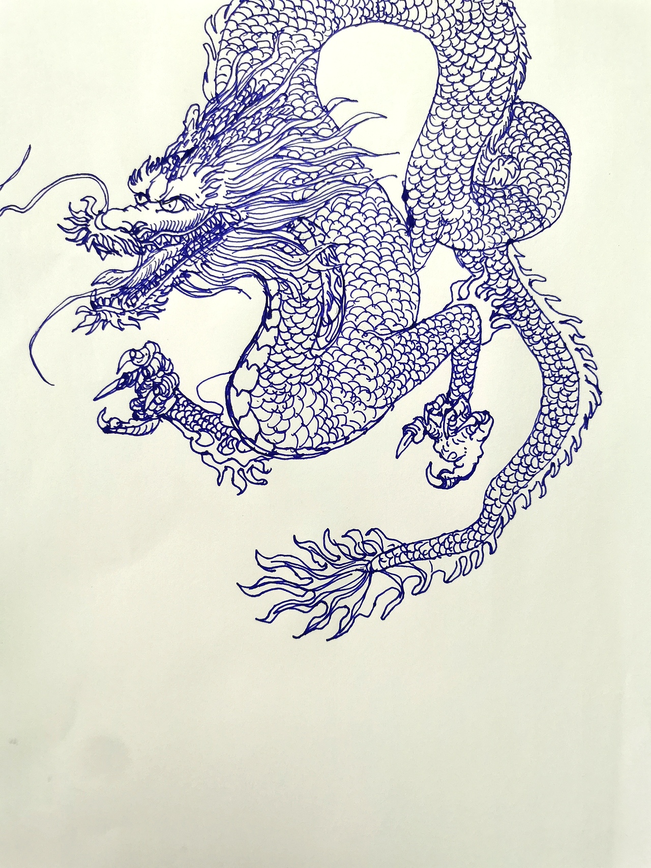 每日一画(十三)-画的动物速写
