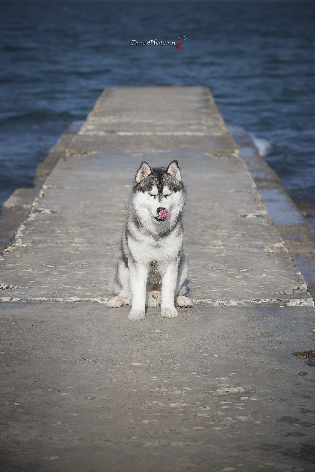 往我包上撒尿的混球表情包