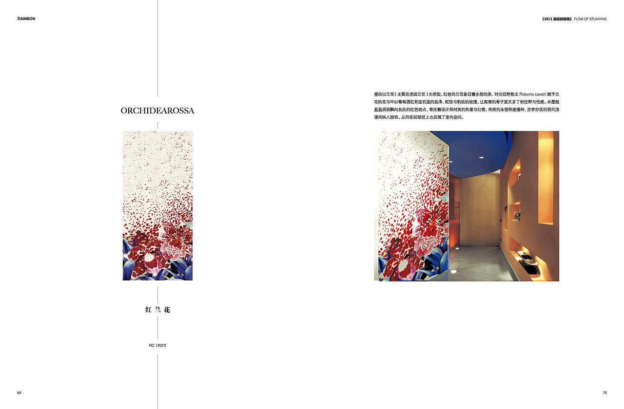 瑞宝彩虹报告杂志（图ZMTA3MjgyNDUy） - 宣传物料 - 站酷设计师设计师ping原创素材 - 站酷ZCOOL