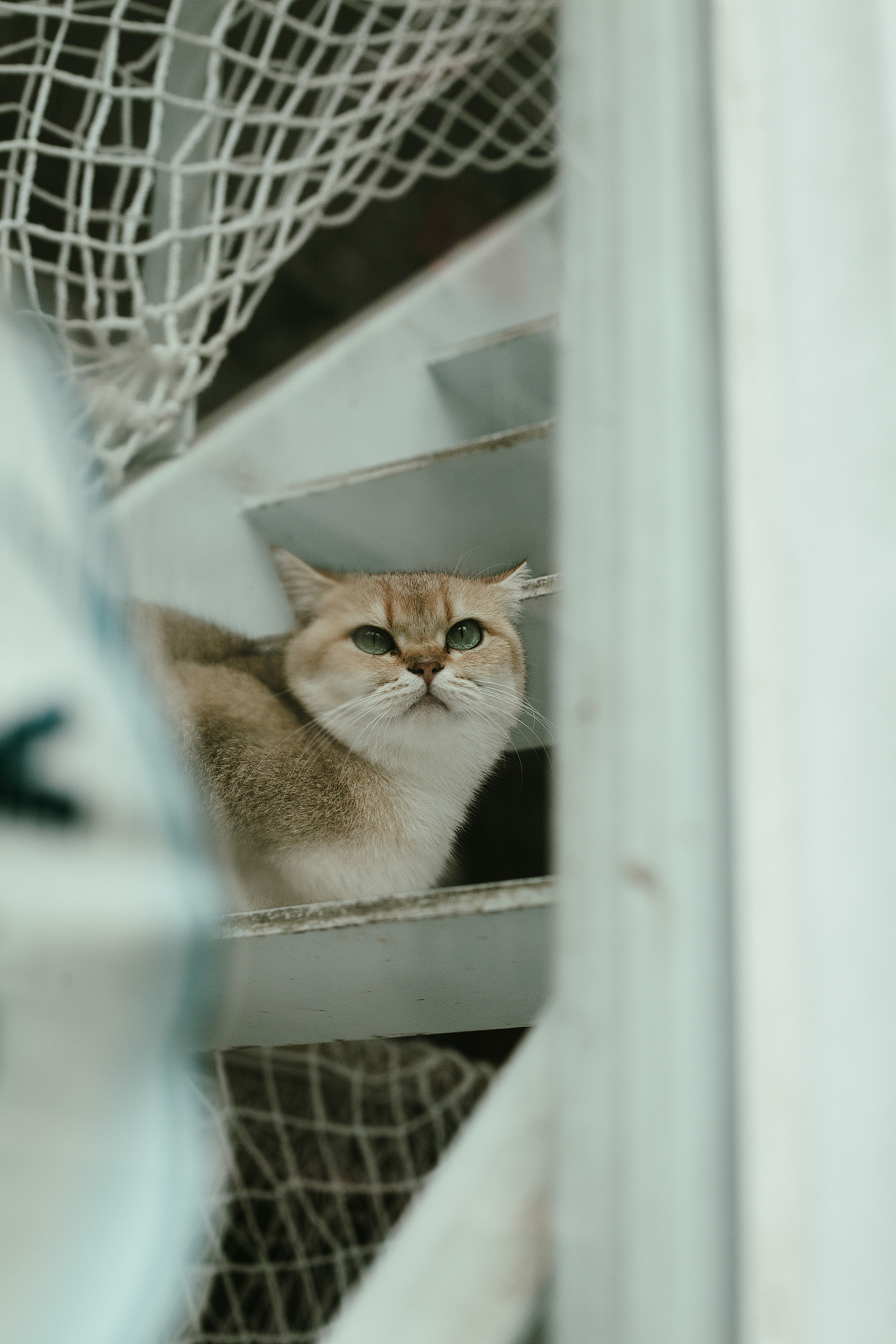 都市气息（图ZMzI2NDQxNDYw） - 人文/纪实摄影 - 站酷设计师橘子摄影师原创素材 - 站酷ZCOOL