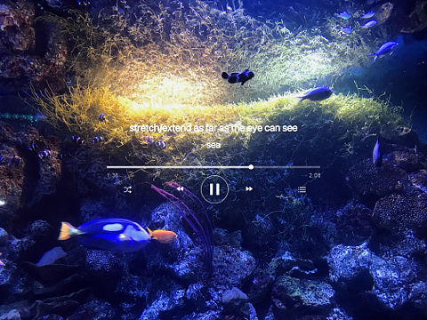 探海-【摄影作品】