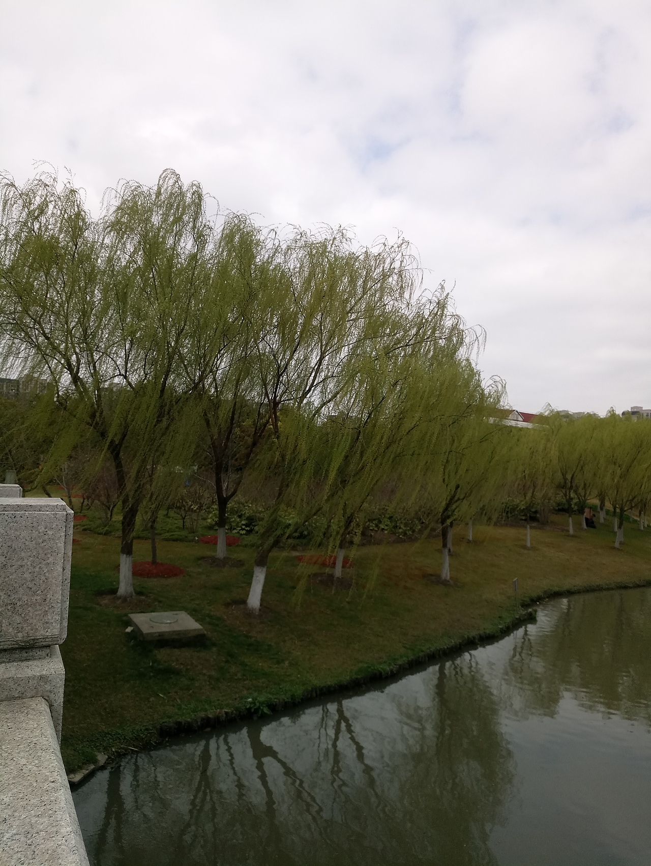 春之密影（图ZMTA4MjU1ODY4） - 产品摄影 - 站酷设计师珍丫头原创素材 - 站酷ZCOOL