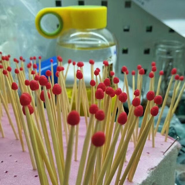 软萌定格动画剧《口袋森林》，小即是萌，萌即是正义！（图ZMTExMTcwNDcy） - 动画片 - 站酷设计师蒸汽工场原创素材 - 站酷ZCOOL