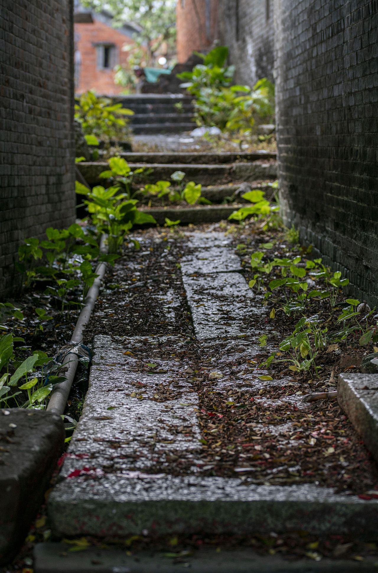 岭南古村（图ZMjA1ODk1MDM2） - 环境/建筑摄影 - 站酷设计师猪猪本尊原创素材 - 站酷ZCOOL