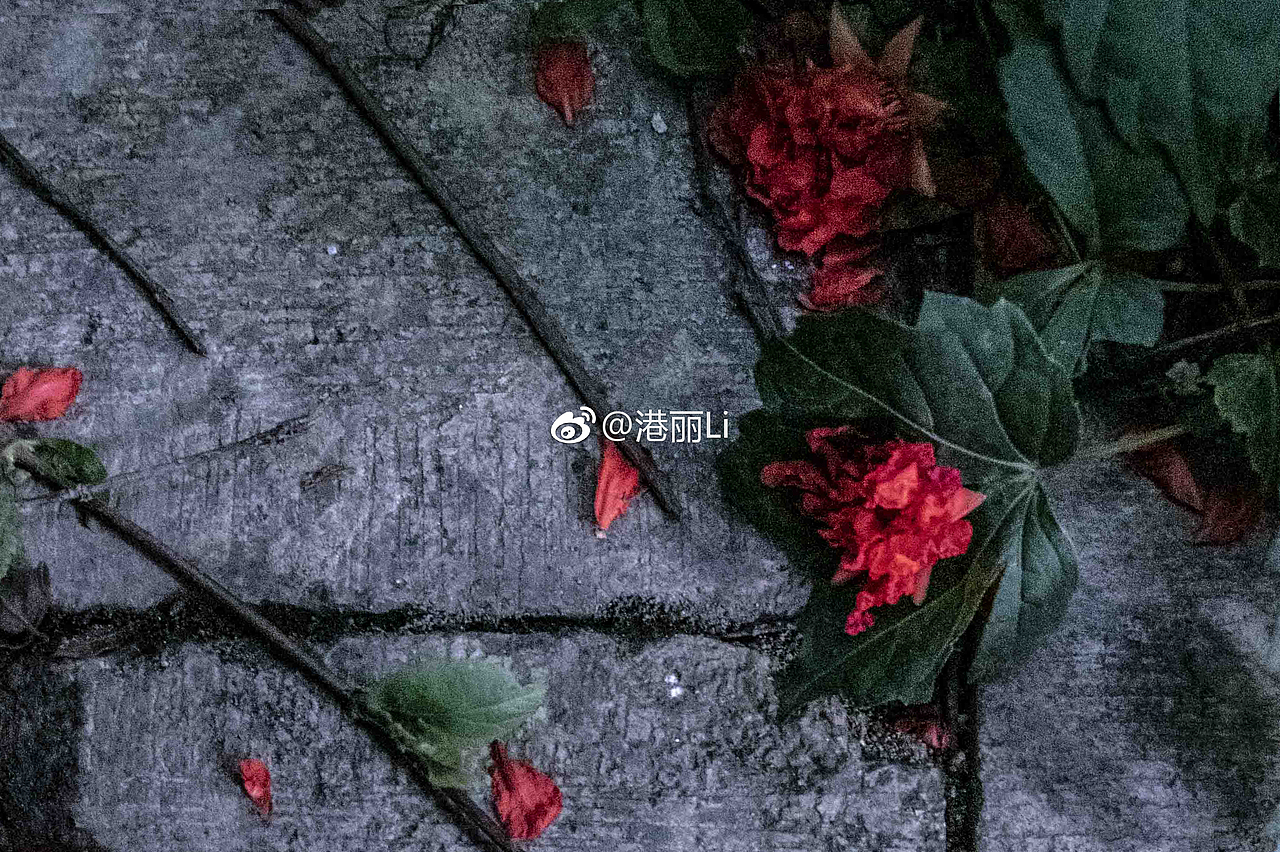 《“光”与“影”》