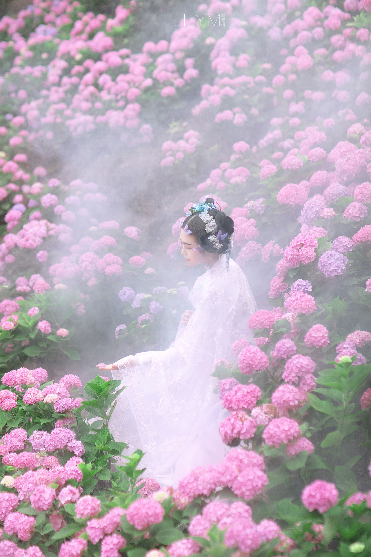 绣球花|摄影|人像摄影|宏密视觉_原创作品-站酷zcool