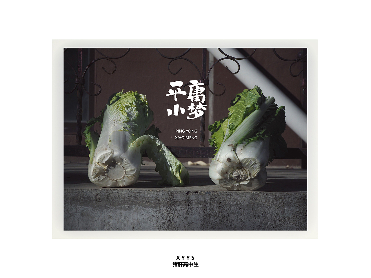 景中字 | 从身边热爱而起