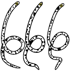 微信表情 GardenEel 花园鳗say英文