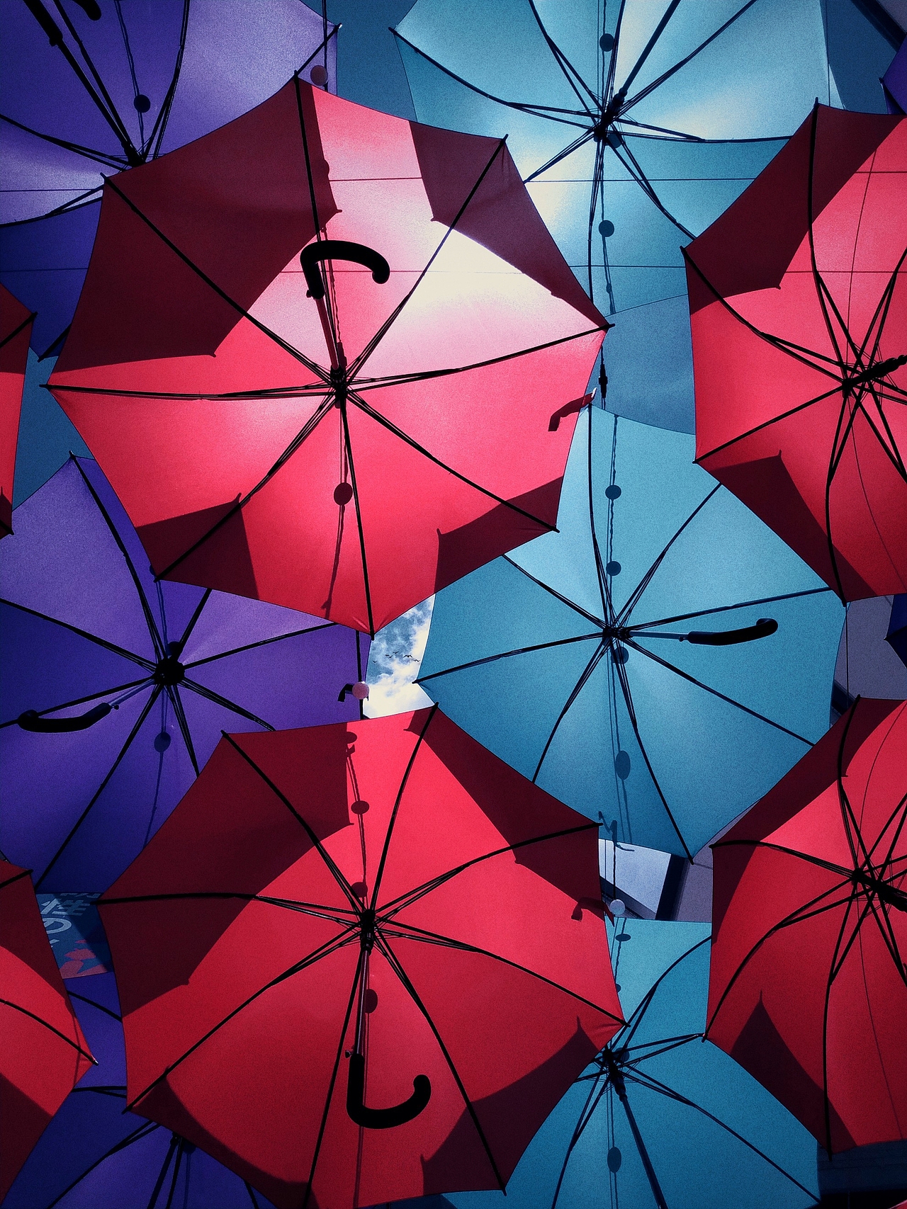 如果雨伞是天空的颜色,你能不能听一听