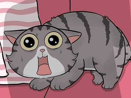 好不容易扛过夏天的高温,又迎来秋天铲屎的热情升温