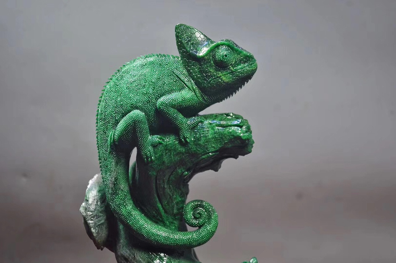 广绿玉高冠变色龙随手拍