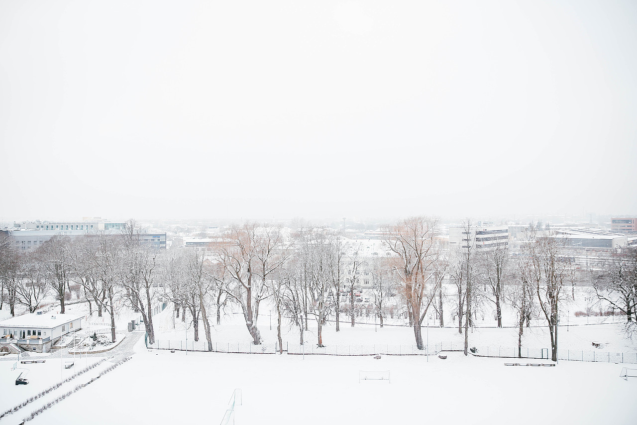 旅行拍摄——爱沙尼亚 Estonia