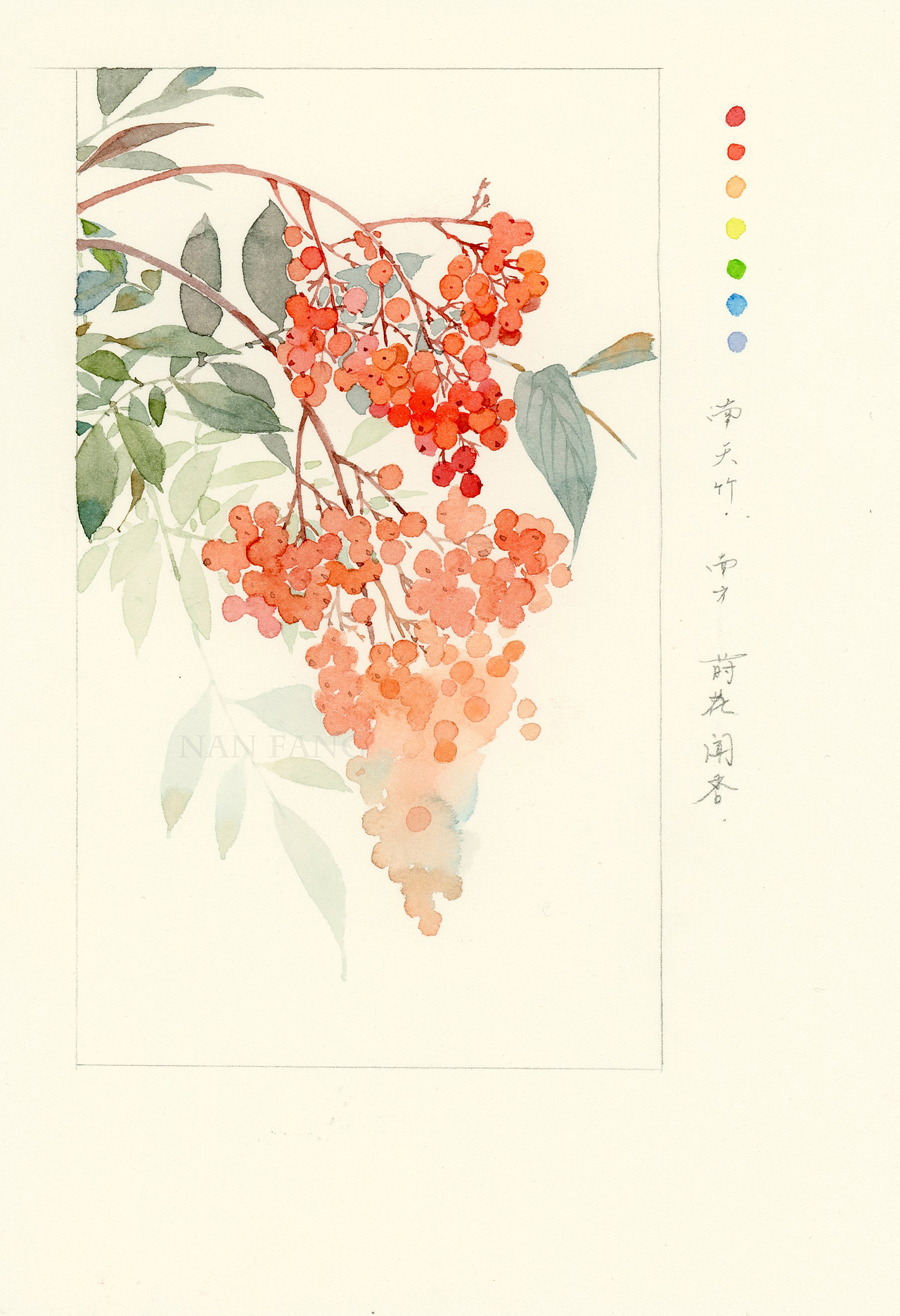 水彩南天竹（30分钟搞定）（图ZMzI4OTUzMDMy） - 艺术插画 - 站酷设计师插画师南方原创素材 - 站酷ZCOOL