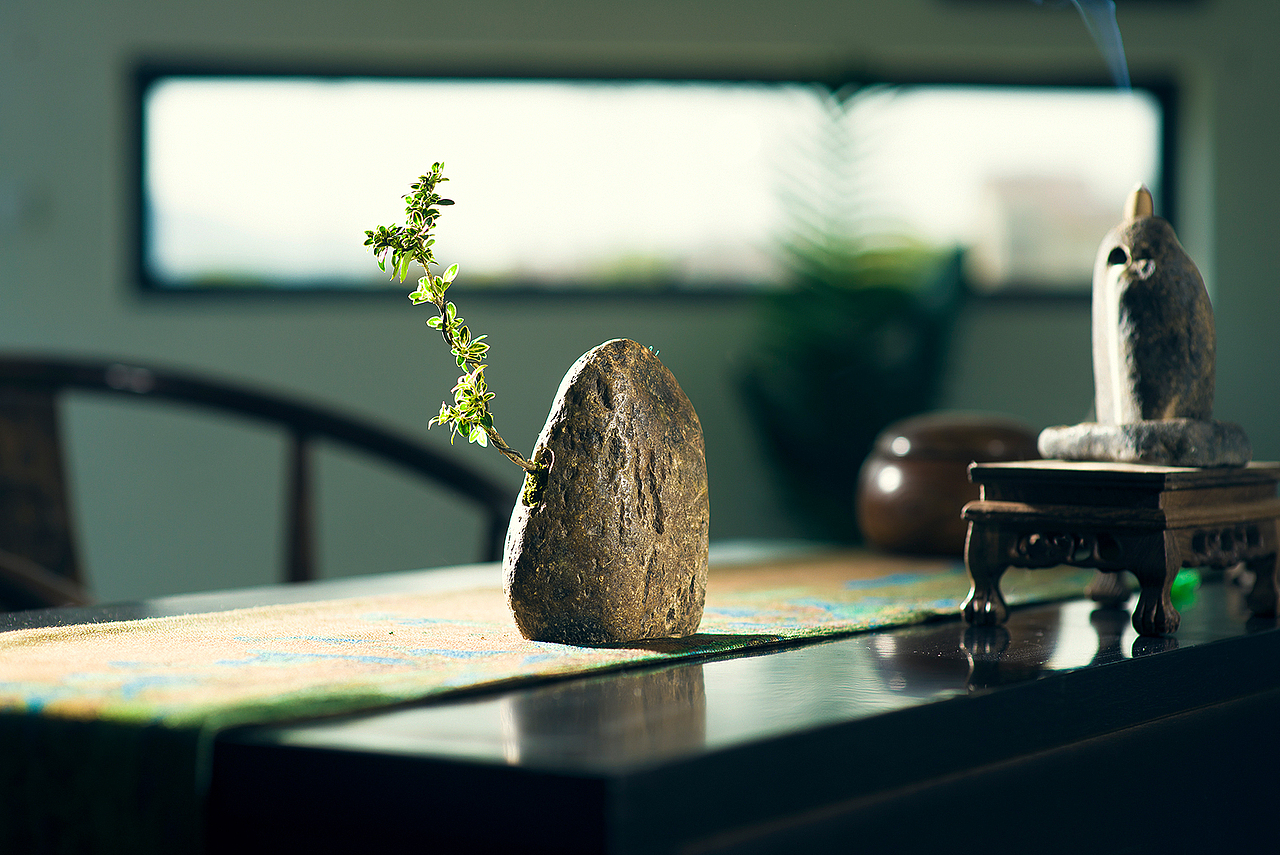 石头缝里长出来树干的灵感 鹅卵石头六月雪盆景摆件