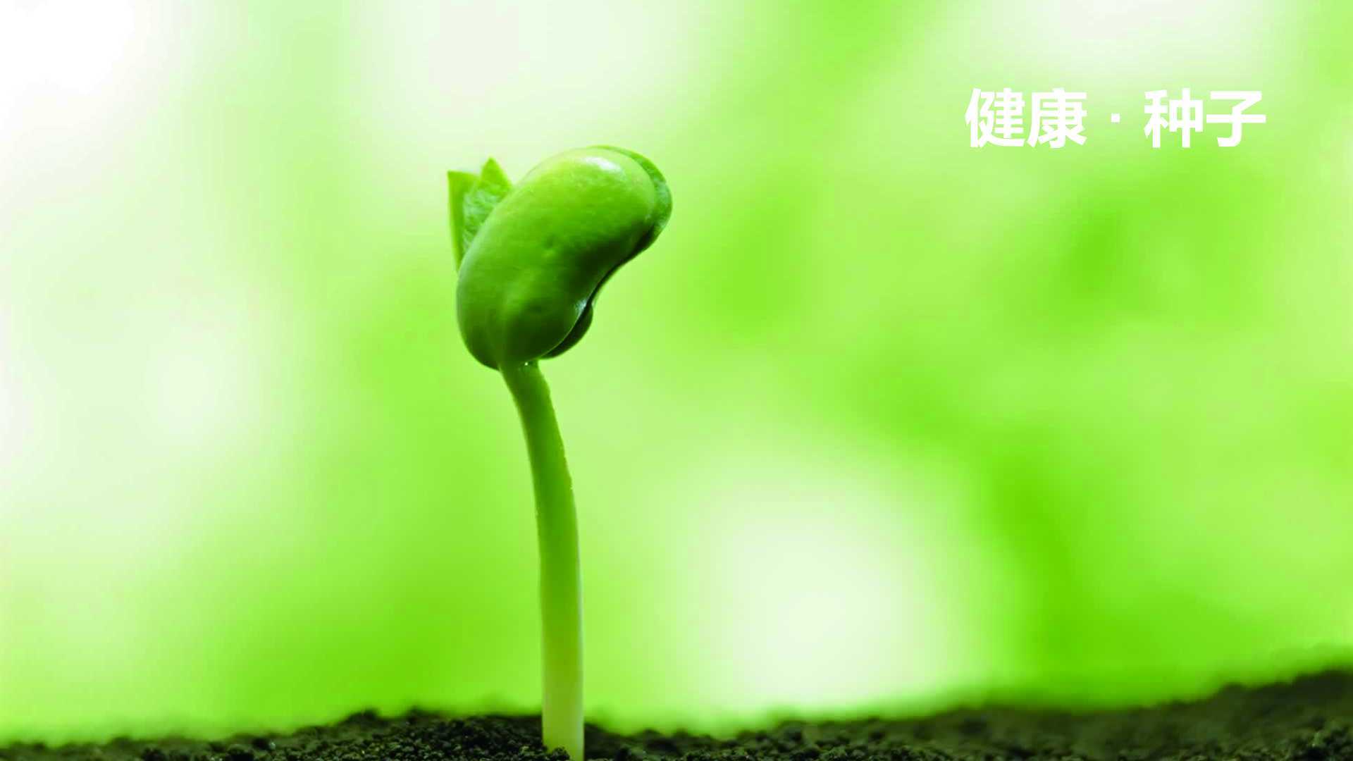 恒健盛达logo设计方案