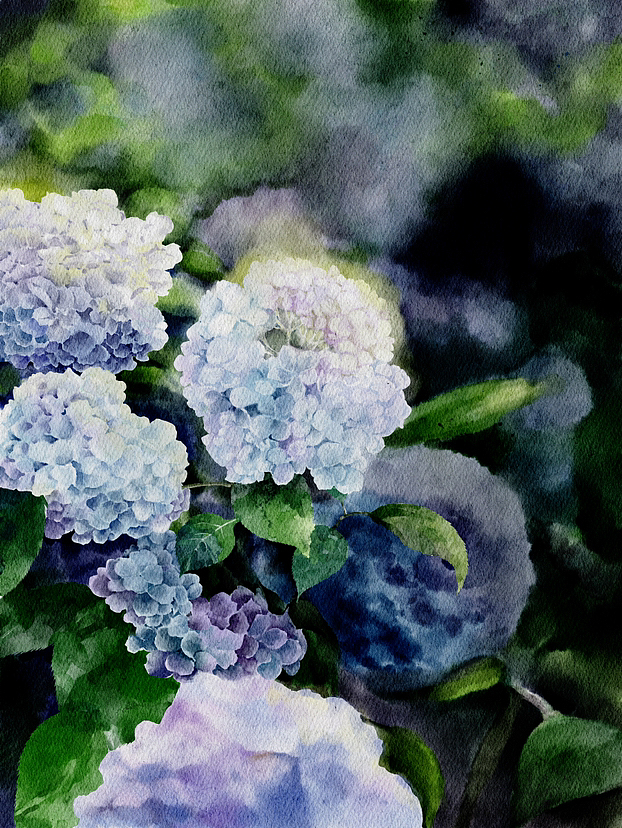 iPad水彩-绣球花（图ZMzY4MTcxMDYw） - 绘画 - 站酷设计师Lu_Meow原创素材 - 站酷ZCOOL