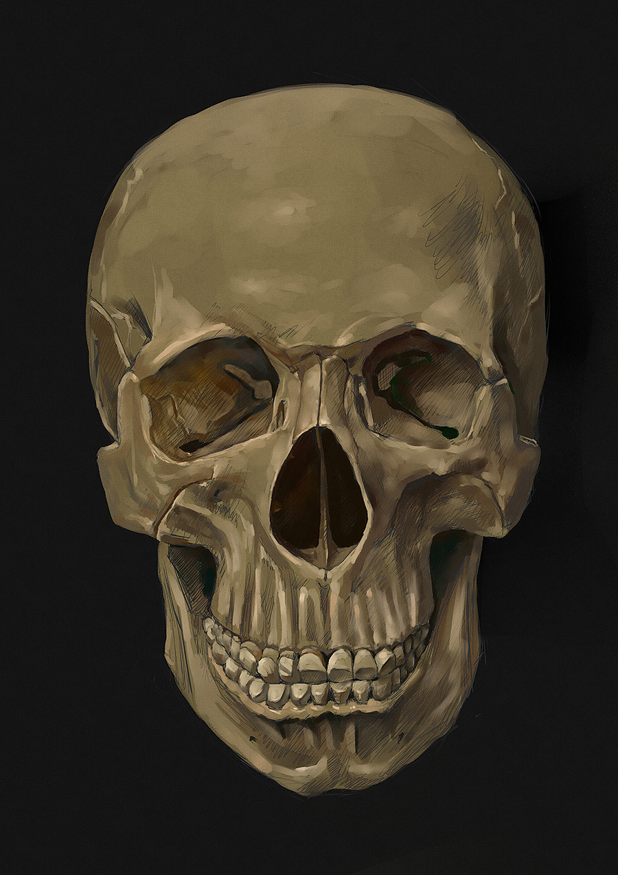 骷颅头绘画素描练习