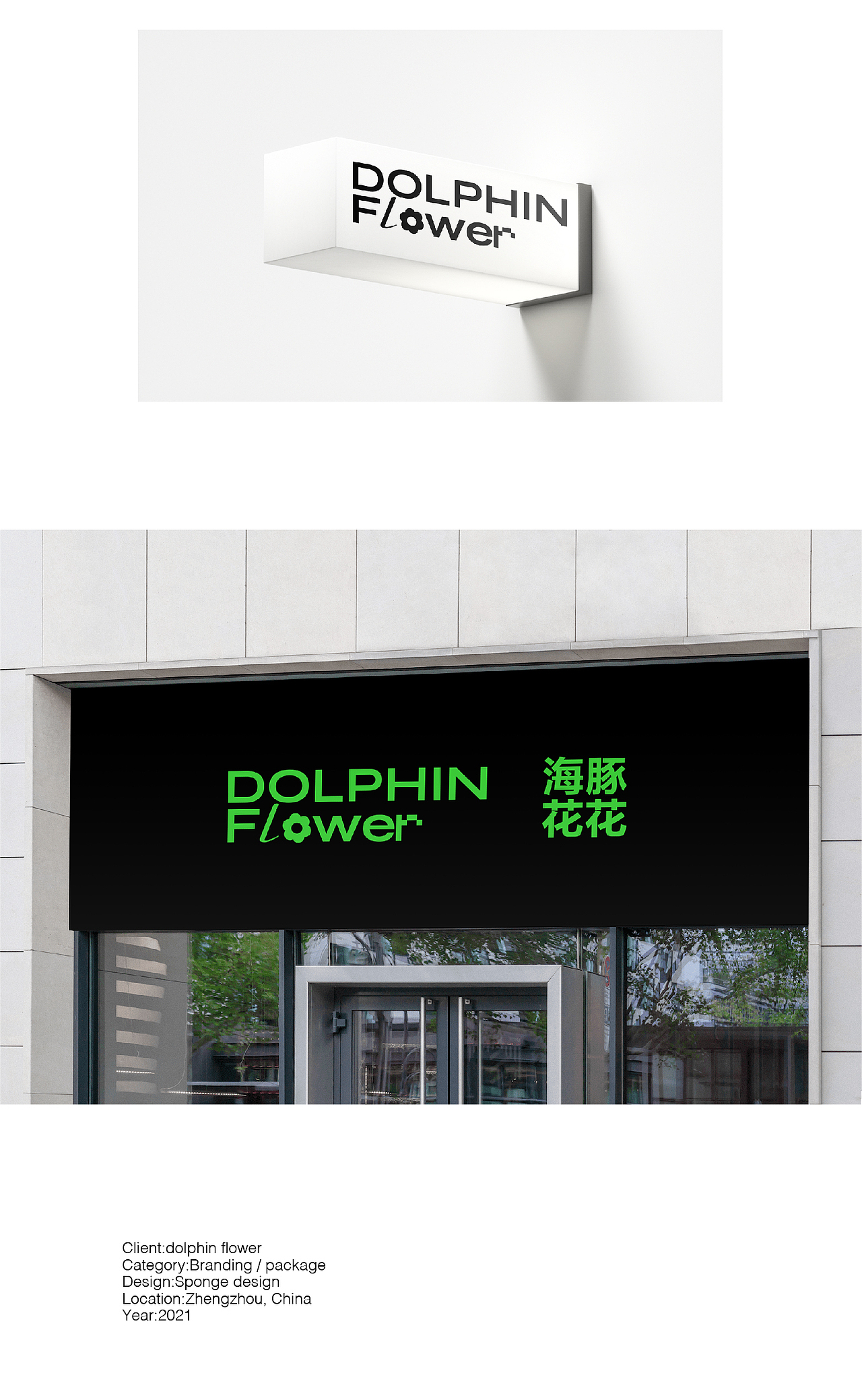 SPONGE DESIGN Project DOLPHIN FLOWER 海豚花花