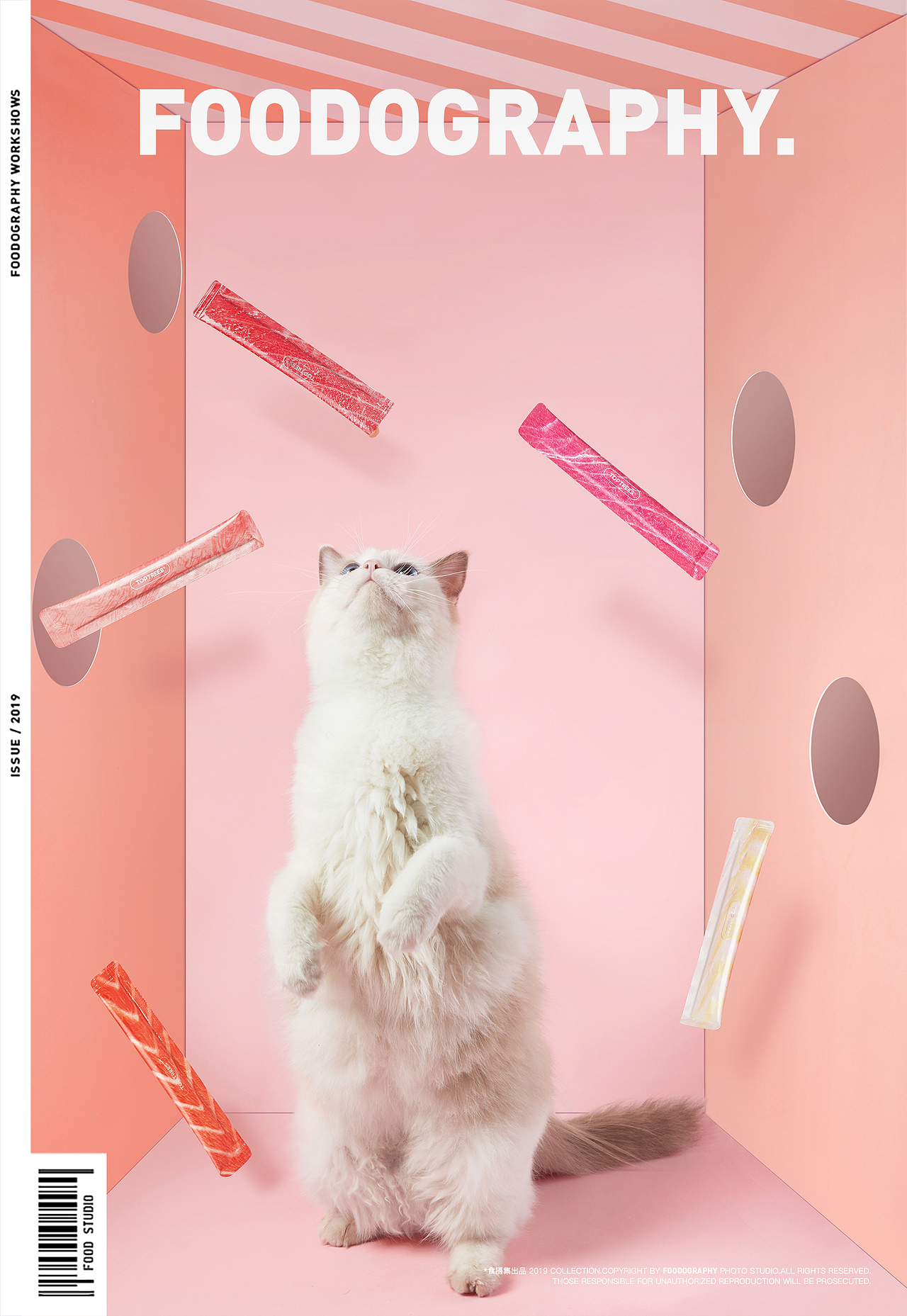 猫粮摄影 | 领先猫粮 ✖ foodography