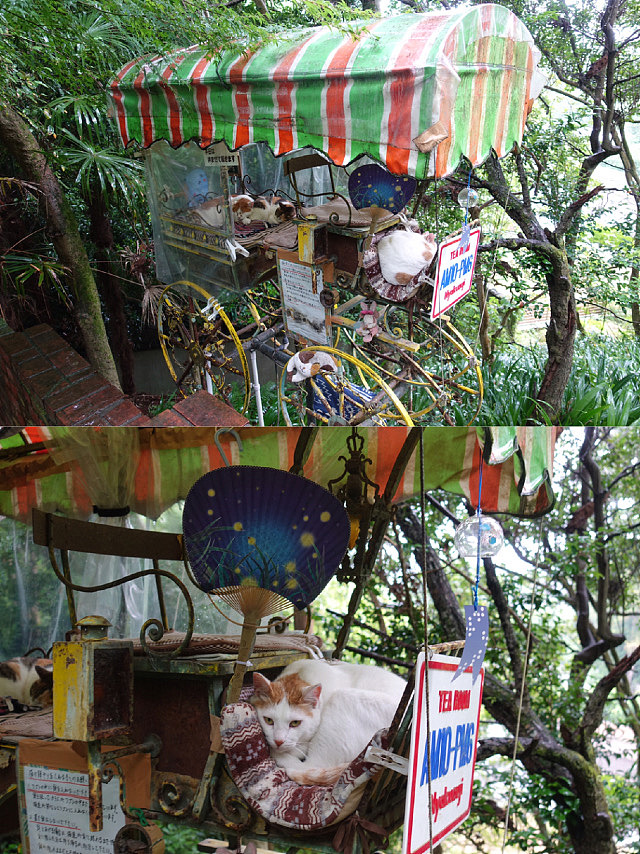 在京都遇見的貓貓飛車（圖ZMjYzNjY2MDg4） - 藝術插畫 - 站酷設計師莓有風原創(chuàng)素材 - 站酷ZCOOL