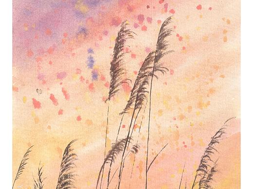 花儿啊~翩翩的你呀（个人主页-ZNTg1MDU5ODA=） - 绘画 - 站酷设计师CXL陈小懒原创素材 - 站酷ZCOOL