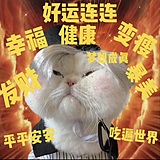 条纹柠檬的头像