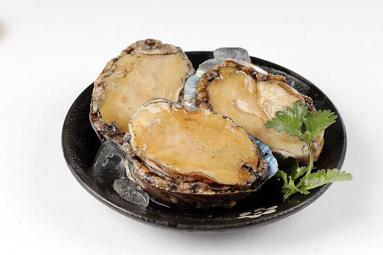 鲍鱼丨生鲜海产品客户约拍丨年末拍了一堆海鲜