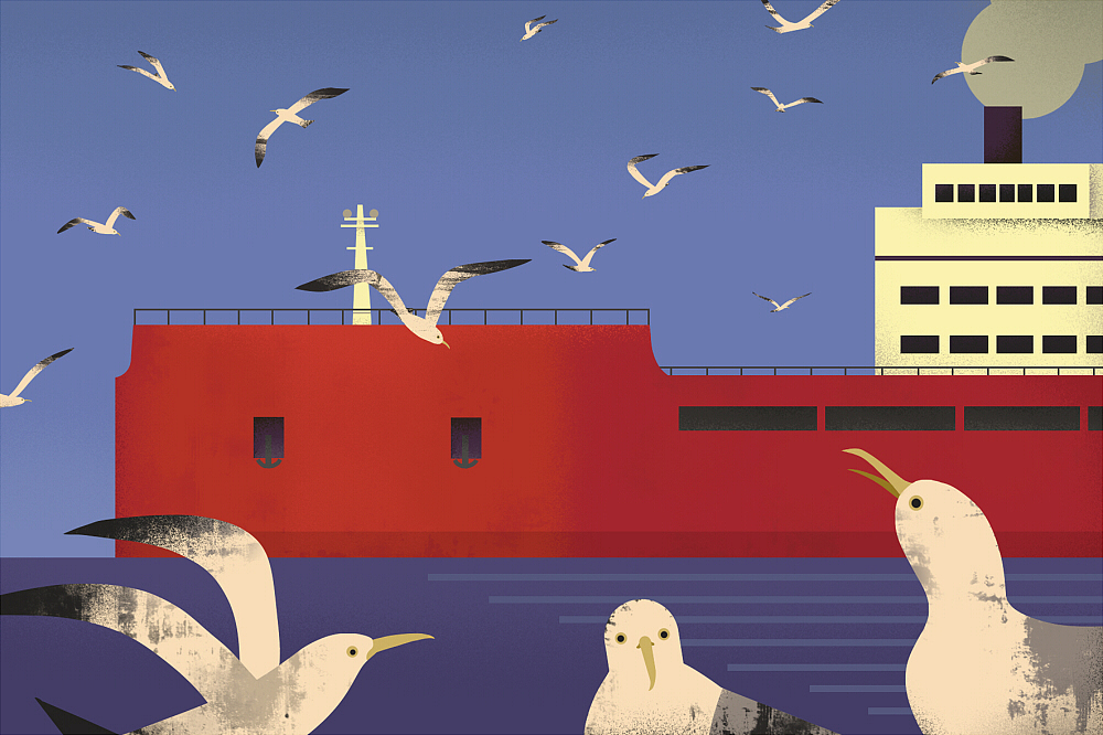 巨轮与海鸥|插画|绘本|画画的纸飞机_原创作品-站酷zcool