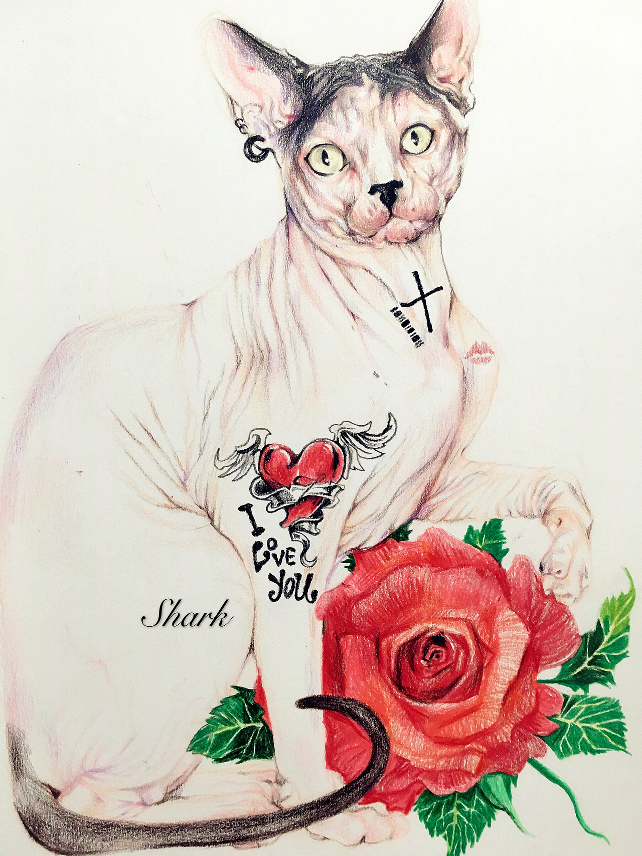 彩铅习作几张（图ZODgzMzIzMjQ=） - 创作习作 - 站酷设计师w鲨_210原创素材 - 站酷ZCOOL