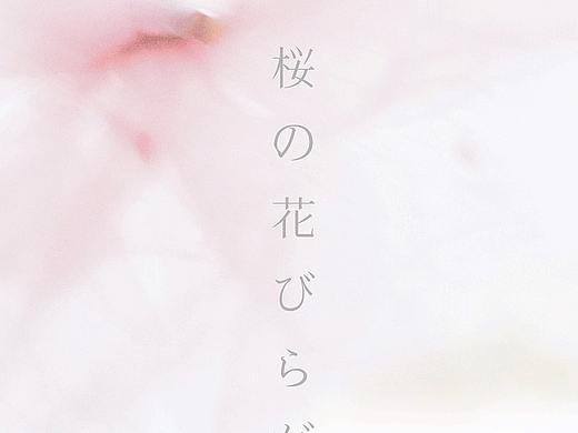 樱花抄