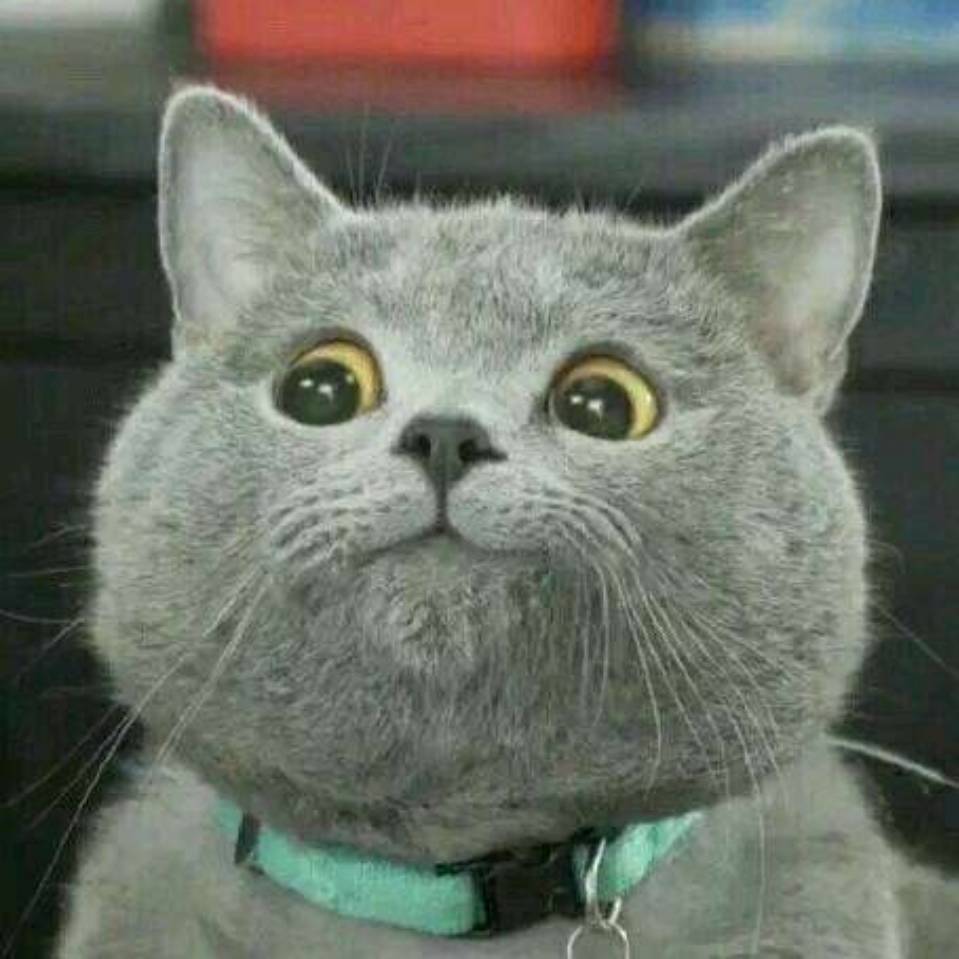 艾胡三的個(gè)人主頁(yè)（背景預(yù)覽） - 主頁(yè)背景設(shè)置 - 站酷設(shè)計(jì)師艾胡三原創(chuàng)素材 - 站酷ZCOOL