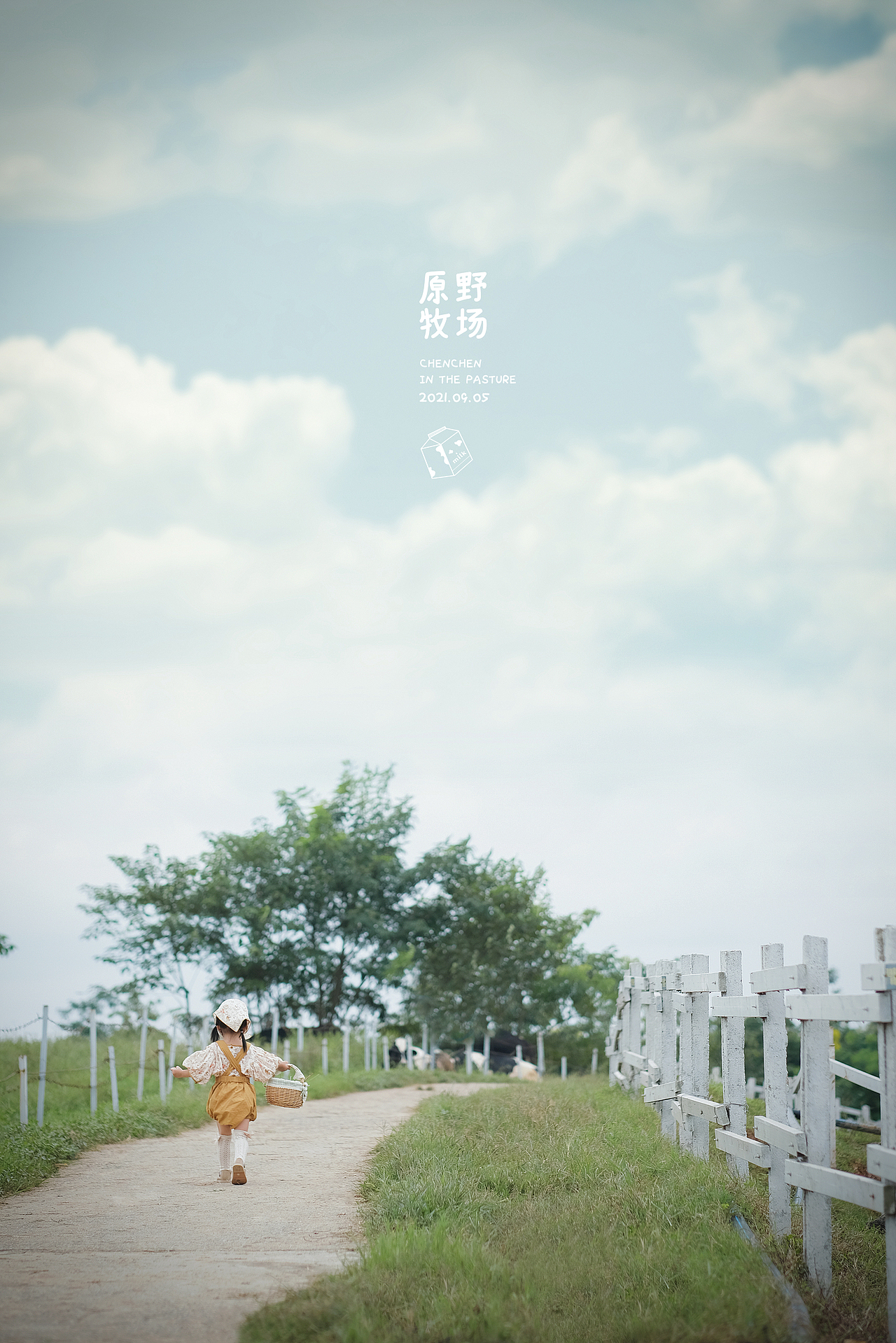 牧场童工的一天