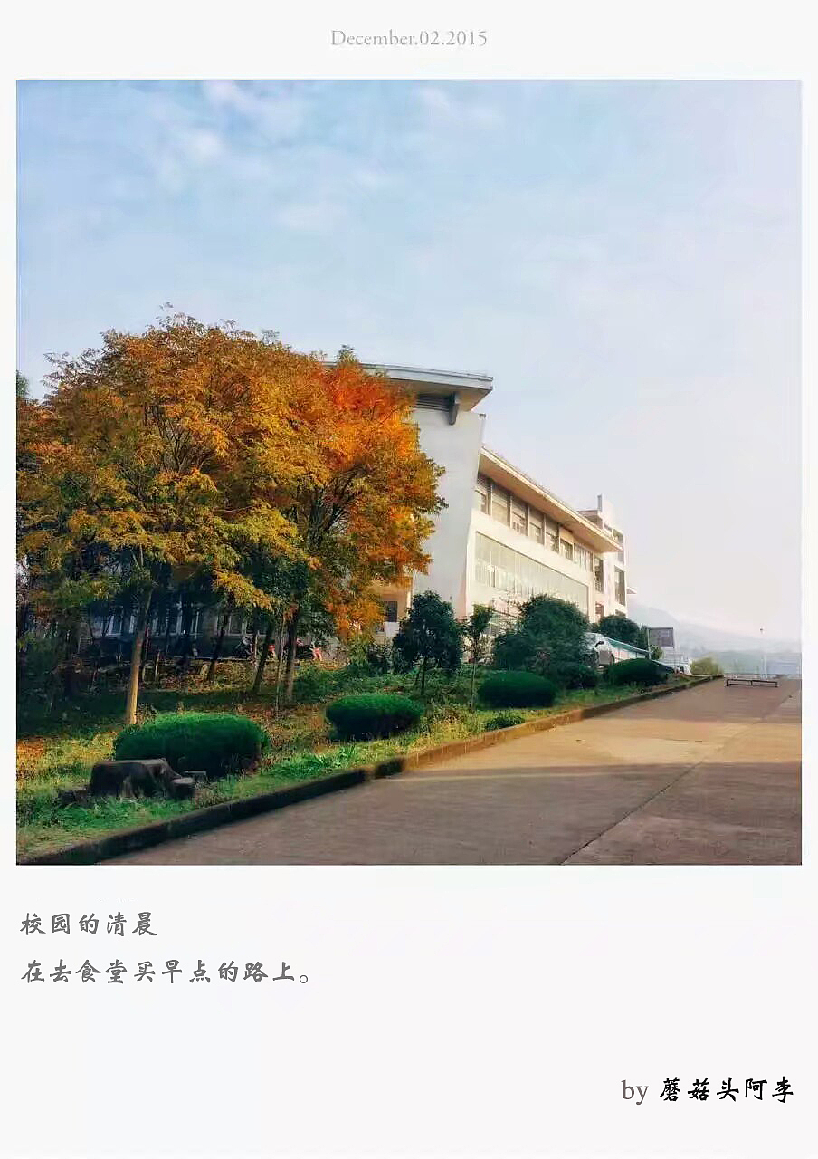 摄影（图ZOTAzMTkxOTI=） - 产品摄影 - 站酷设计师蘑菇头阿李原创素材 - 站酷ZCOOL