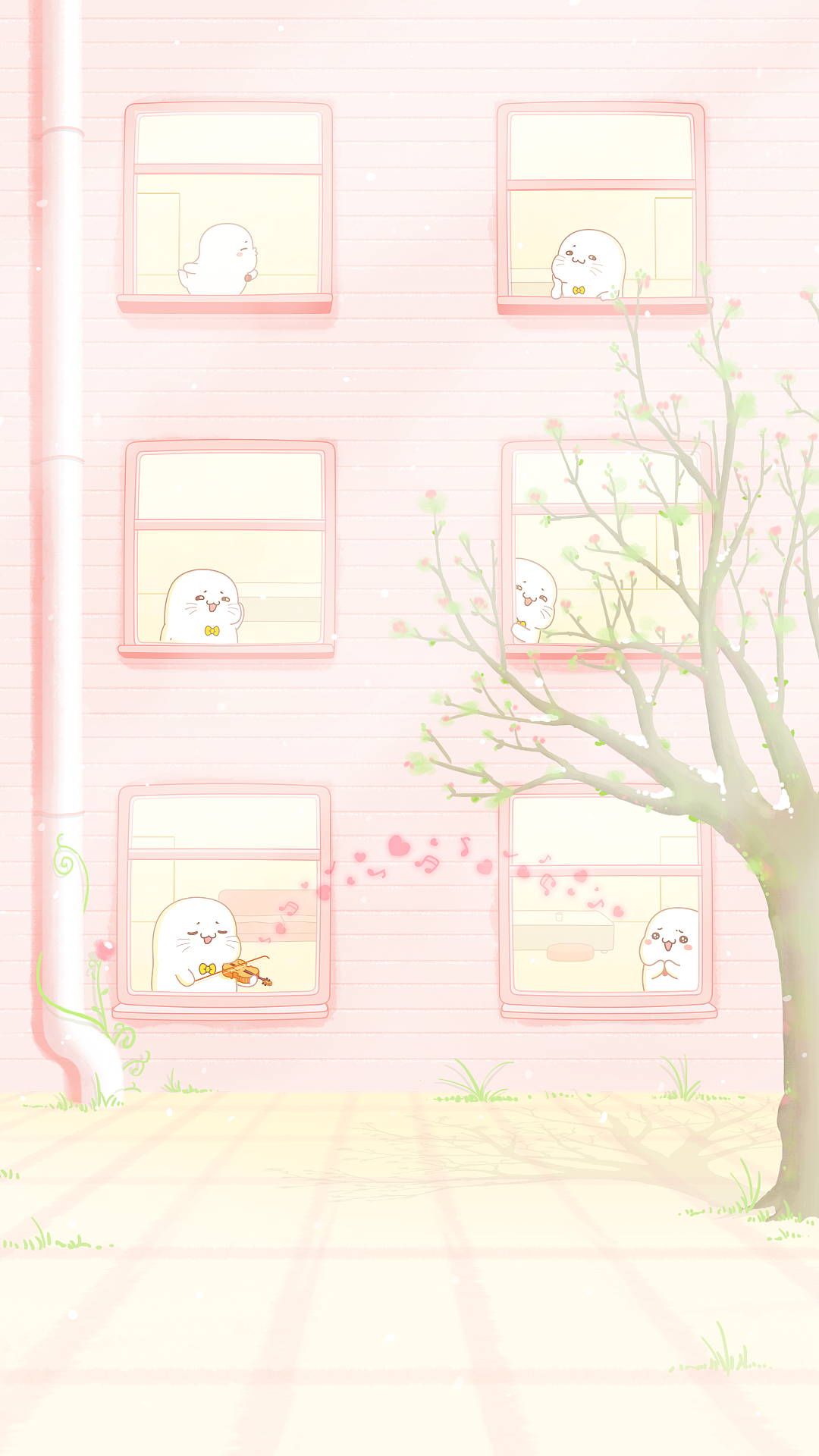 听,花开的声音——抱抱6优雅来袭